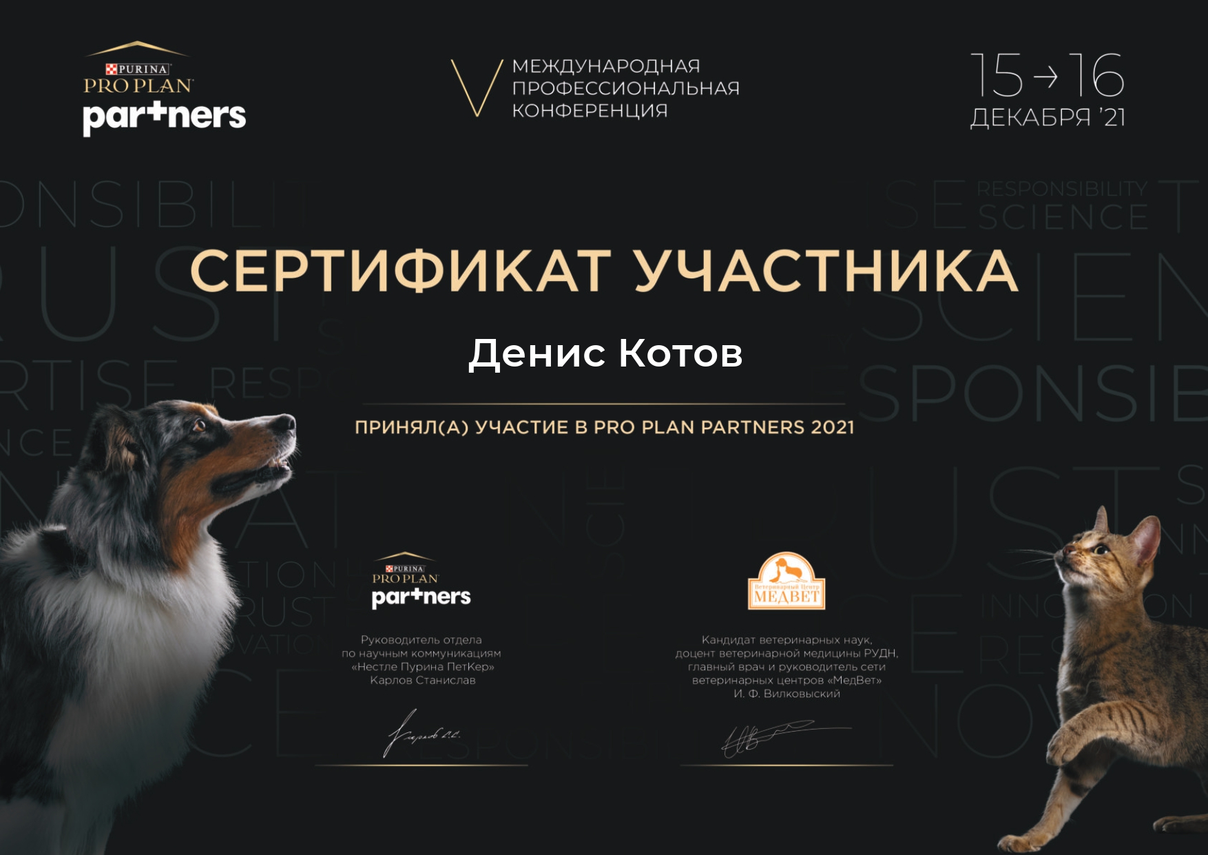 kotov-denis-dmitrievich-sertifikat-pro-plan-partners-2021 Котов Денис Дмитриевич