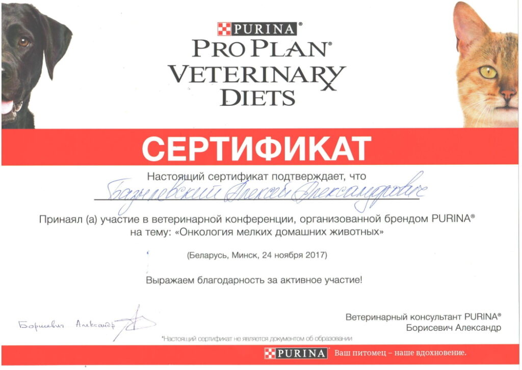 sertifikat-bazylevskiy-aleksey-aleksandrovich-10-1024x727 Базылевский Алексей Александрович