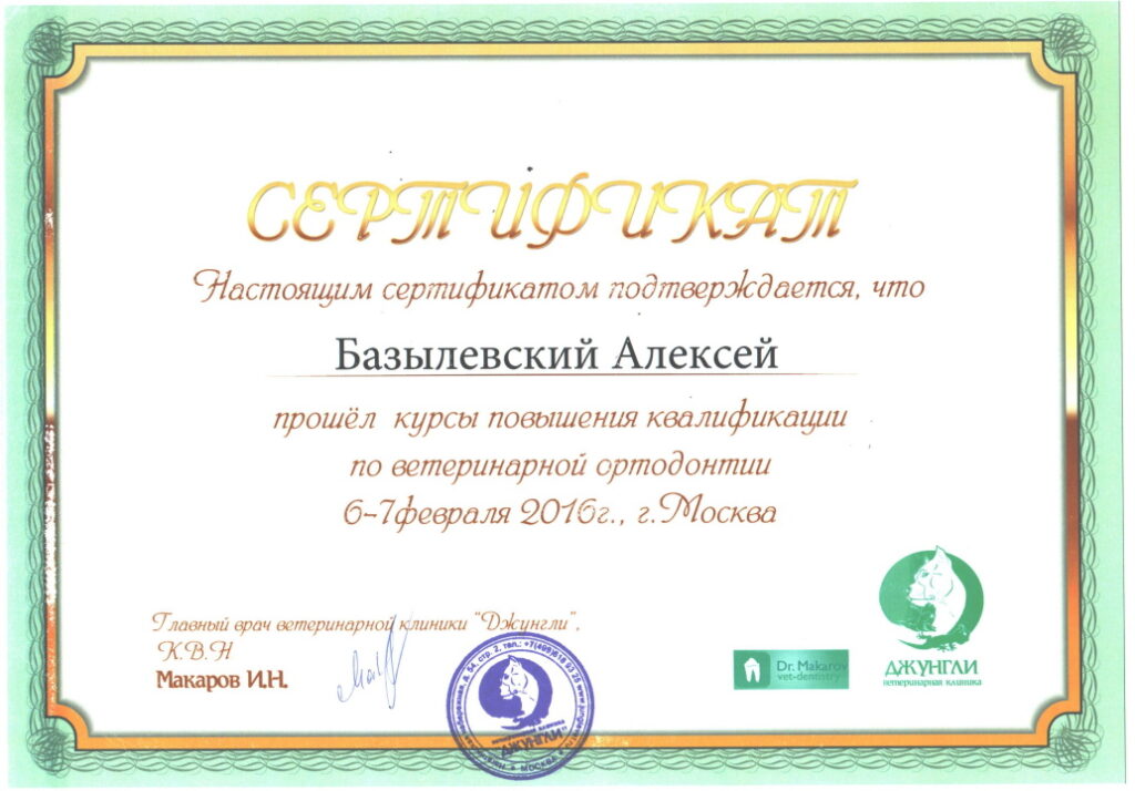 sertifikat-bazylevskiy-aleksey-aleksandrovich-12-1024x714 Базылевский Алексей Александрович
