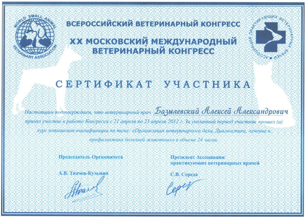 sertifikat-bazylevskiy-aleksey-aleksandrovich-2-1024x726 Базылевский Алексей Александрович