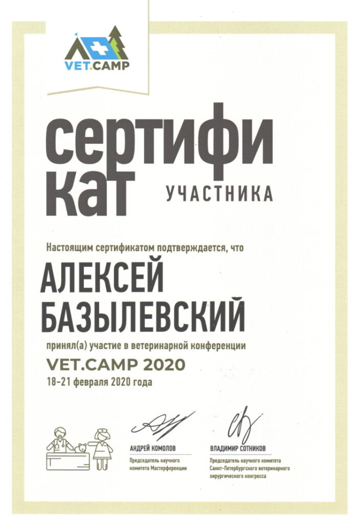 sertifikat-bazylevskiy-aleksey-aleksandrovich-4-698x1024 Базылевский Алексей Александрович
