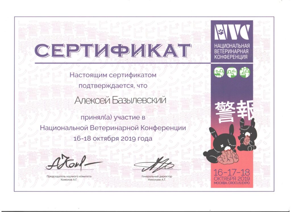 sertifikat-bazylevskiy-aleksey-aleksandrovich-43-1024x745 Базылевский Алексей Александрович