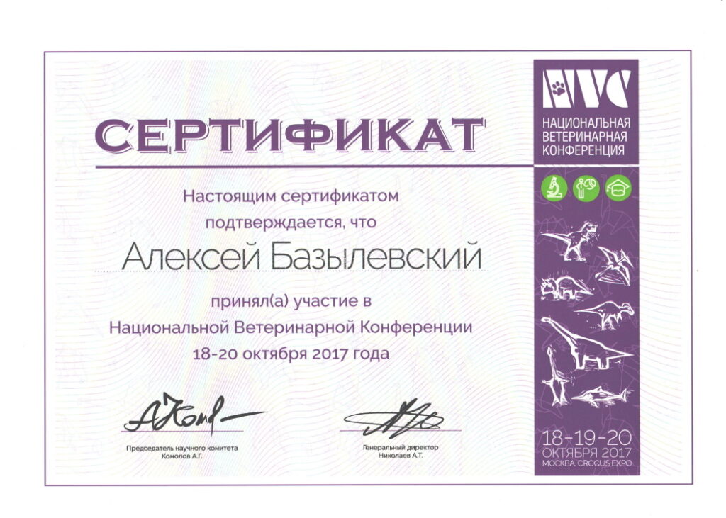 sertifikat-bazylevskiy-aleksey-aleksandrovich-53-1024x731 Базылевский Алексей Александрович
