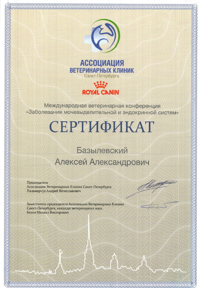 sertifikat-bazylevskiy-aleksey-aleksandrovich-55 Базылевский Алексей Александрович