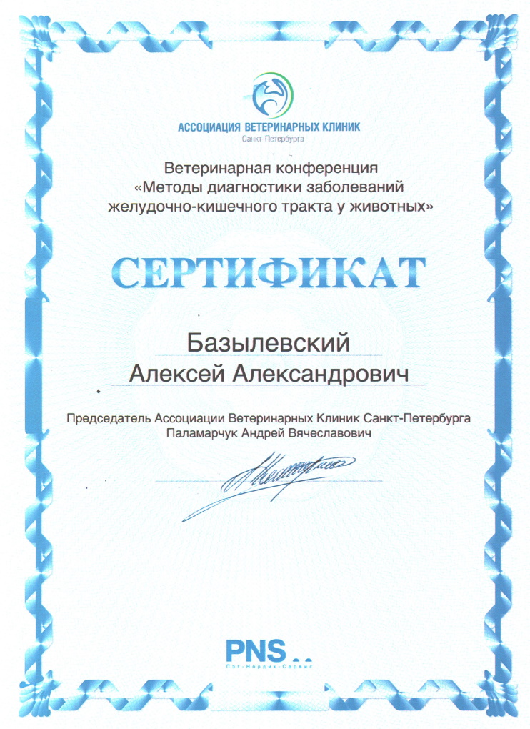 sertifikat-bazylevskiy-aleksey-aleksandrovich-7 Базылевский Алексей Александрович