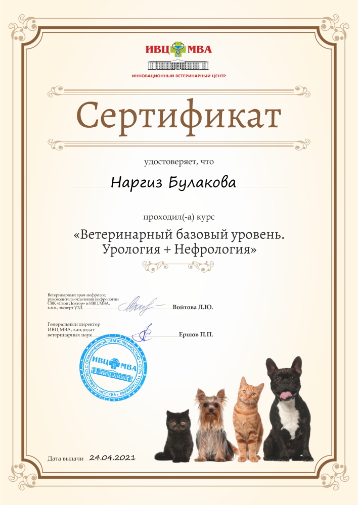 sertifikat-bulakova-nargiz-muradovna-1-1 Булакова Наргиз Мурадовна