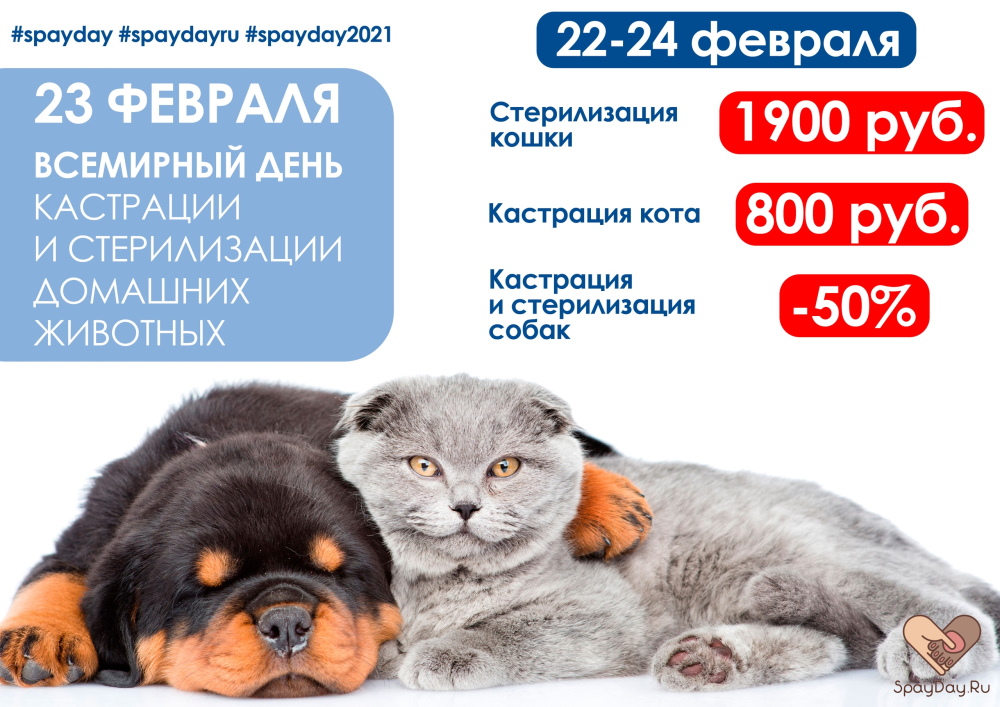 vsemirnyy-den-sterilizacii-i-kastracii-zhivotnyh-2021-1 Всемирный день стерилизации и кастрации животных 2021
