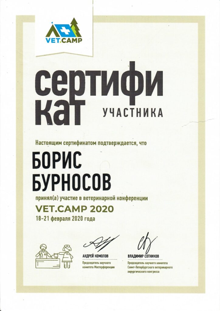burnosov-boris-yurevich-sertifikat-uchastnika-konferencii-724x1024 Бурносов Борис Юрьевич