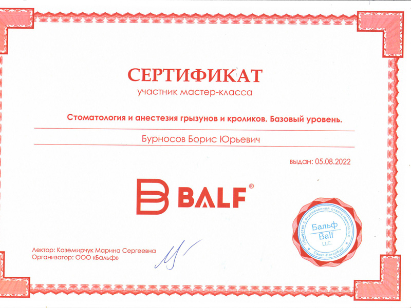 sertifikat Бурносов Борис Юрьевич