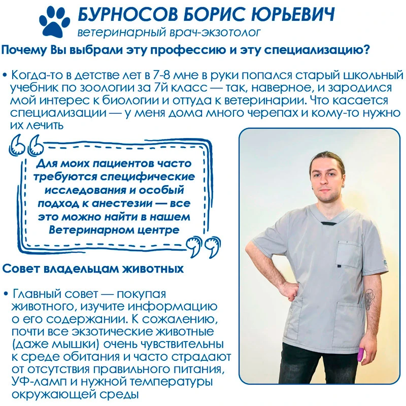 burnosov-boris-yurevich-veterinarnyy-vrach Когда нужно обращаться к врачу-экзотологу