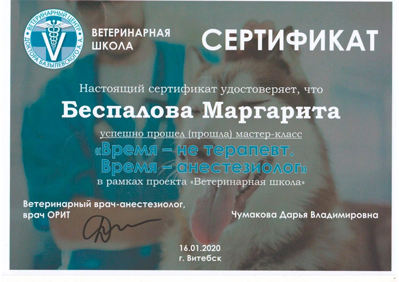 sertifikat-veterinarnoy-konferencii-devyatyy Беспалова Маргарита Сергеевна