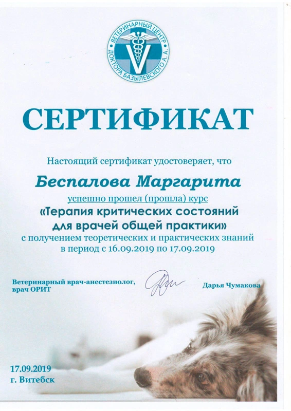 sertifikat-veterinarnoy-konferencii-shestoy Беспалова Маргарита Сергеевна