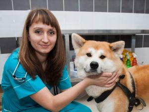 vrach-i-pacient-veterinarnogo-centra-smolensk-300x225 О нас