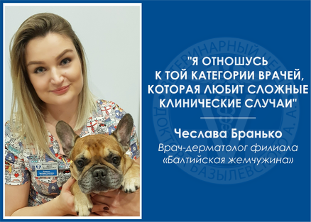 Интервью с ветеринарным дерматологом Чеславой Бранько