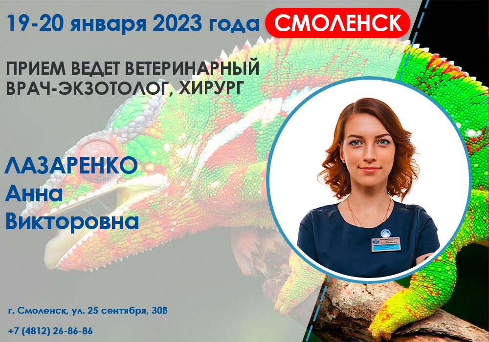 priem-vracha-ekzotologa-1 Прием врача-экзотолога в Смоленске!