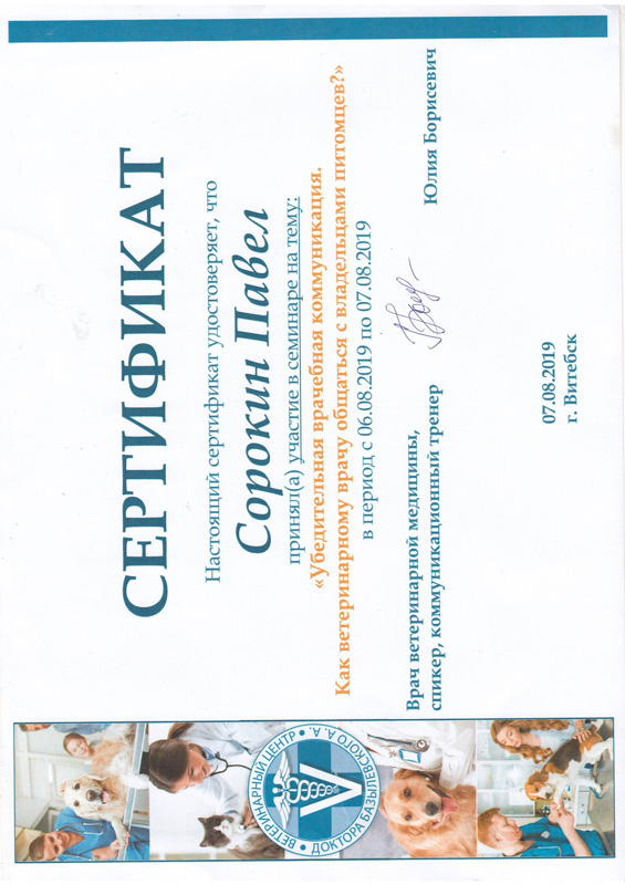 sertifikat-sorokina-p-a-2 Сорокин Павел Алексеевич