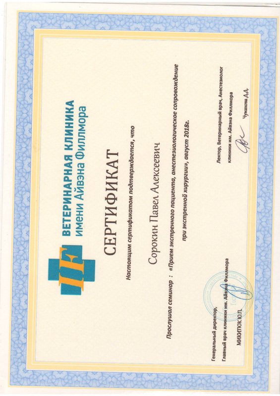 sertifikat-sorokina-p-a-4 Сорокин Павел Алексеевич