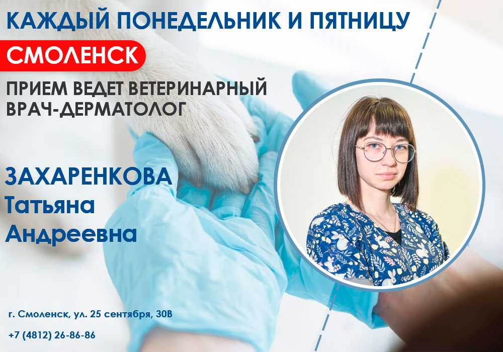 priem-veterinarnogo-vracha-dermatologa Прием ведет ветеринарный врач-дерматолог!
