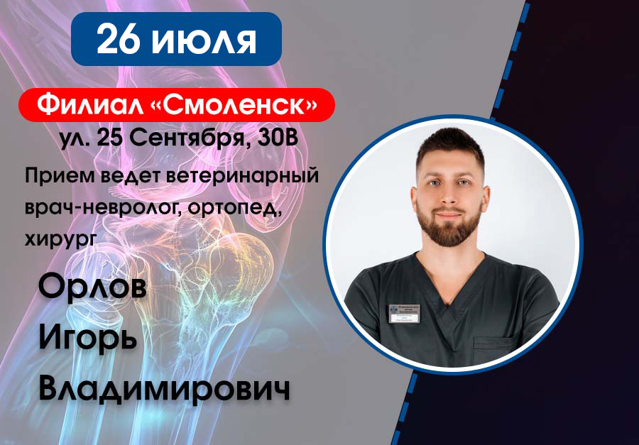 Орлов в Смоленске