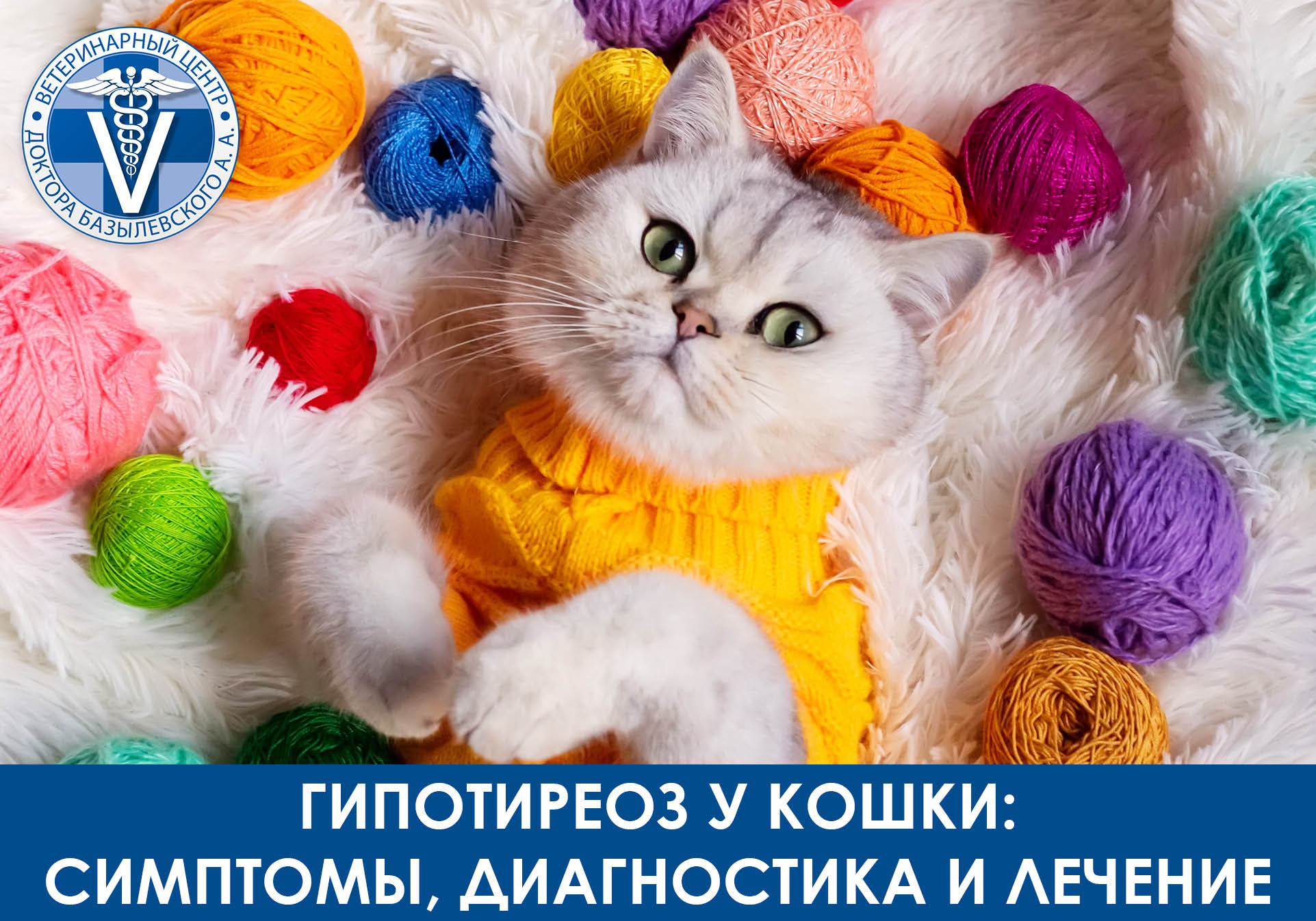 гипотериоз у кошки