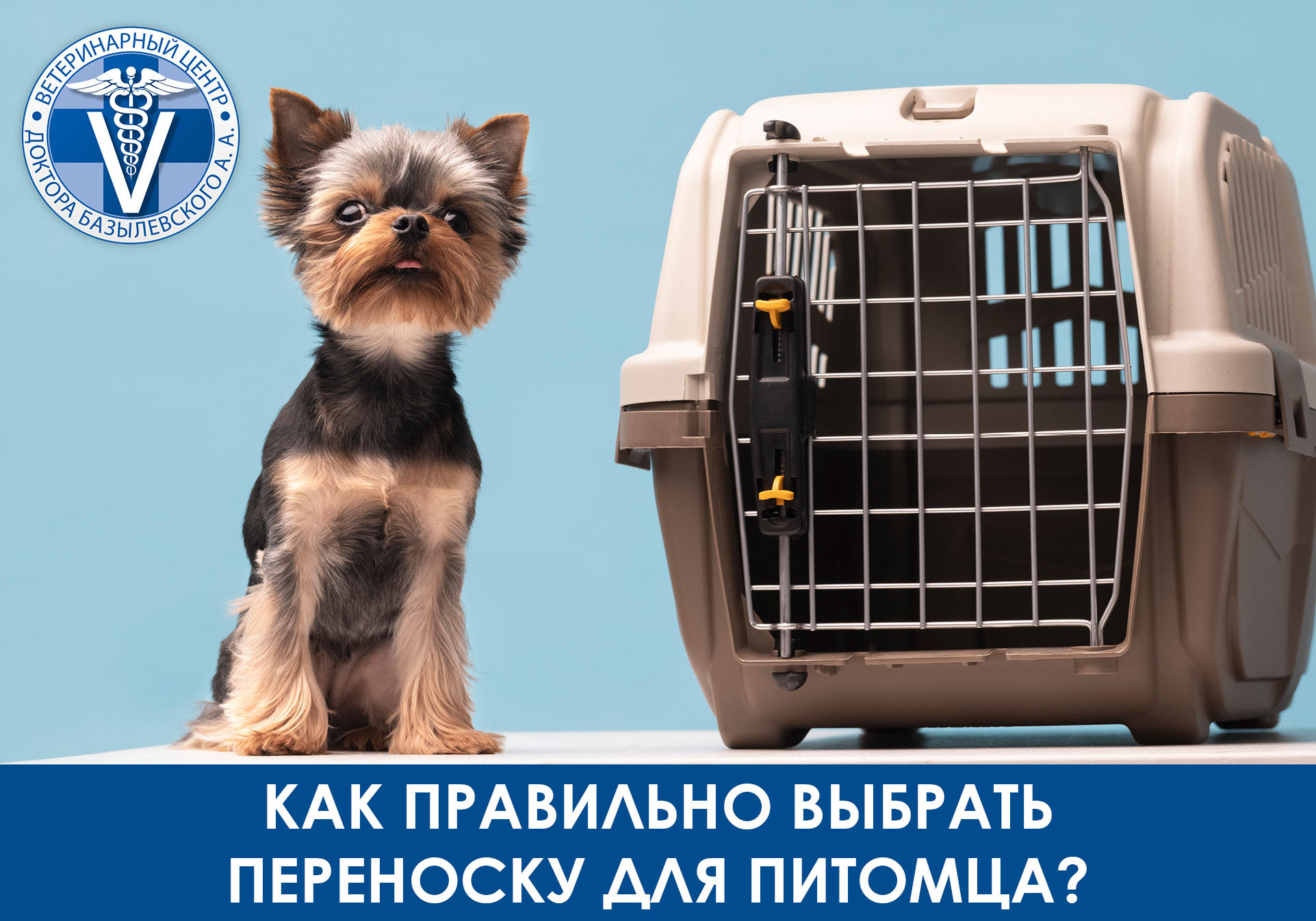 Как правильно выбрать переноску для питомца