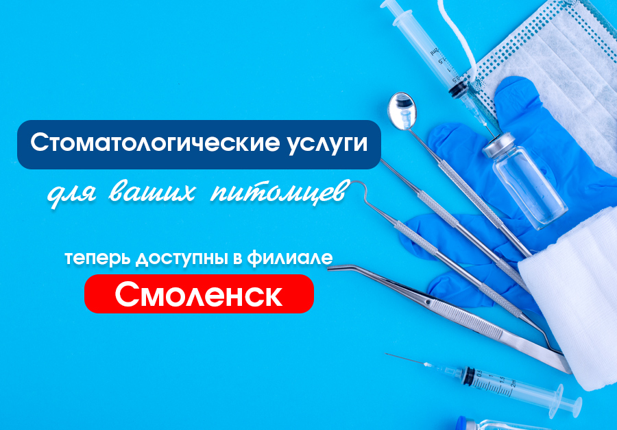 Стоматология в Смоленске
