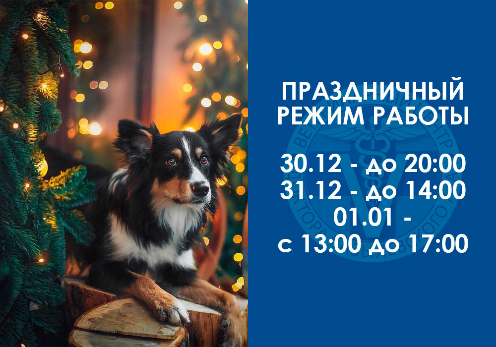 prazdnichnyy-rezhim-raboty Праздничный режим работы