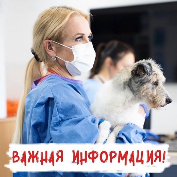 s-25-oktyabrya-filial-smolensk-vremenno-ne-vedetsya-priem-kruglosutochno С 25 октября филиал Смоленск временно не ведется прием круглосуточно