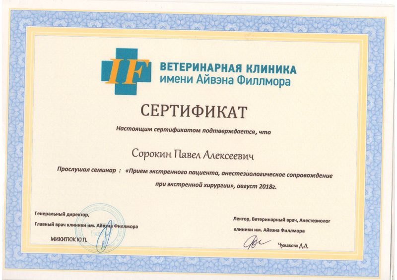 sertifikat-sorokina-p-a-4-rotated Сорокин Павел Алексеевич