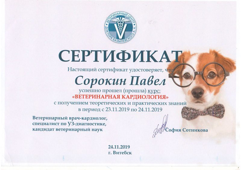 sertifikat-sorokina-p-a-5-rotated Сорокин Павел Алексеевич