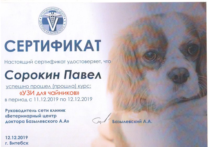 sertifikat-sorokina-p-a-6-rotated Сорокин Павел Алексеевич