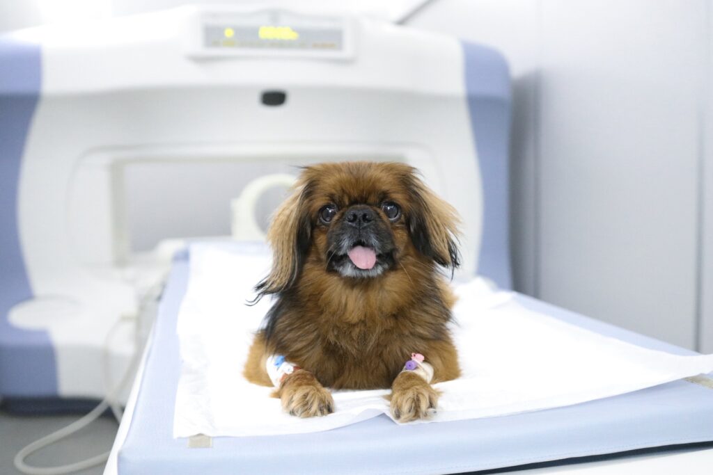 skoro-mrt-diagnostika-v-smolenske-1 СКОРО! МРТ-диагностика в Смоленске