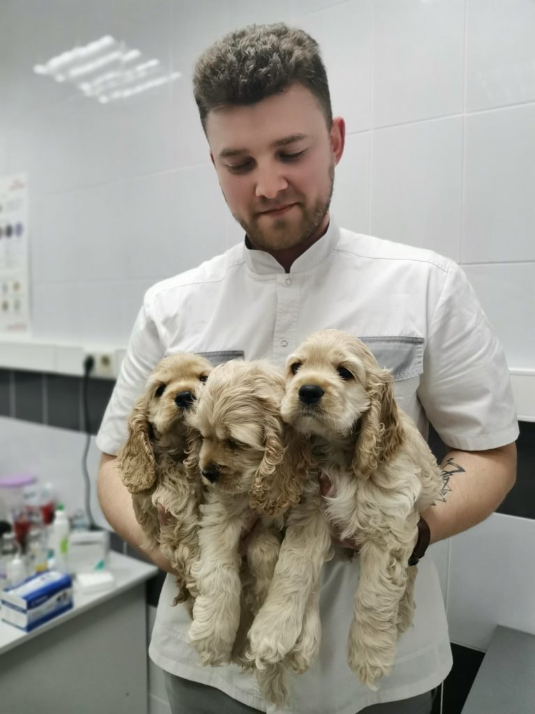 sorokin-pavel-alekseevich-veterinarnyy-vrach-1 Сорокин Павел Алексеевич