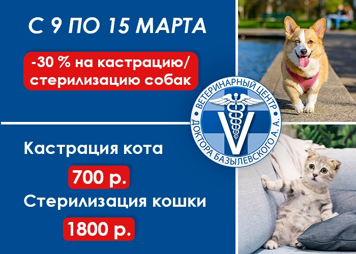 specialnye-martovskie-predlozheniya Специальные мартовские предложения
