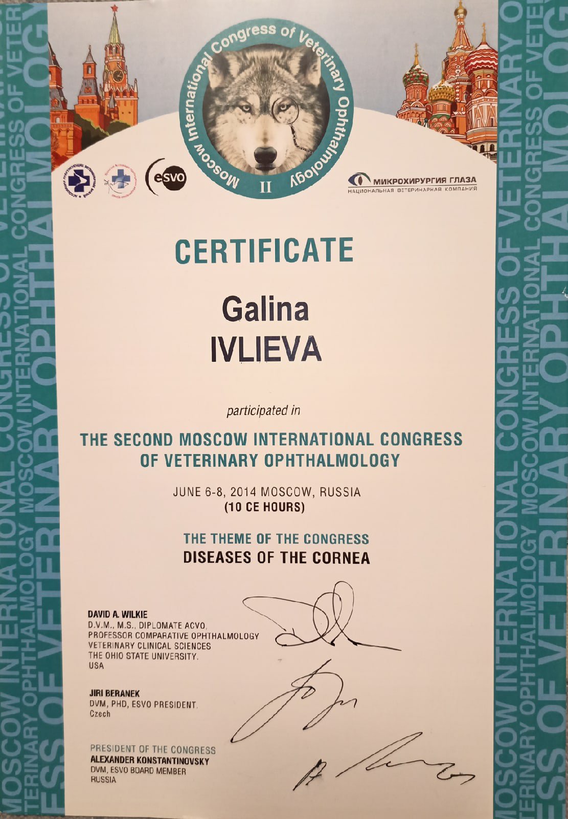 ivlieva-galina-igorevna-sertifikat-po-kongressu-diseases-of-the-cornea Ивлиева Галина Игоревна