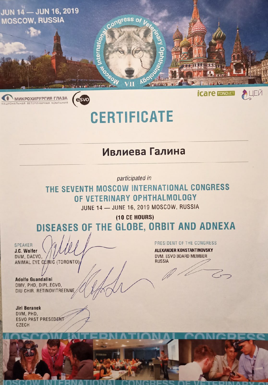 ivlieva-galina-igorevna-sertifikat-po-kongressu-diseases-of-the-globe-orbit-and-adnexa Ивлиева Галина Игоревна