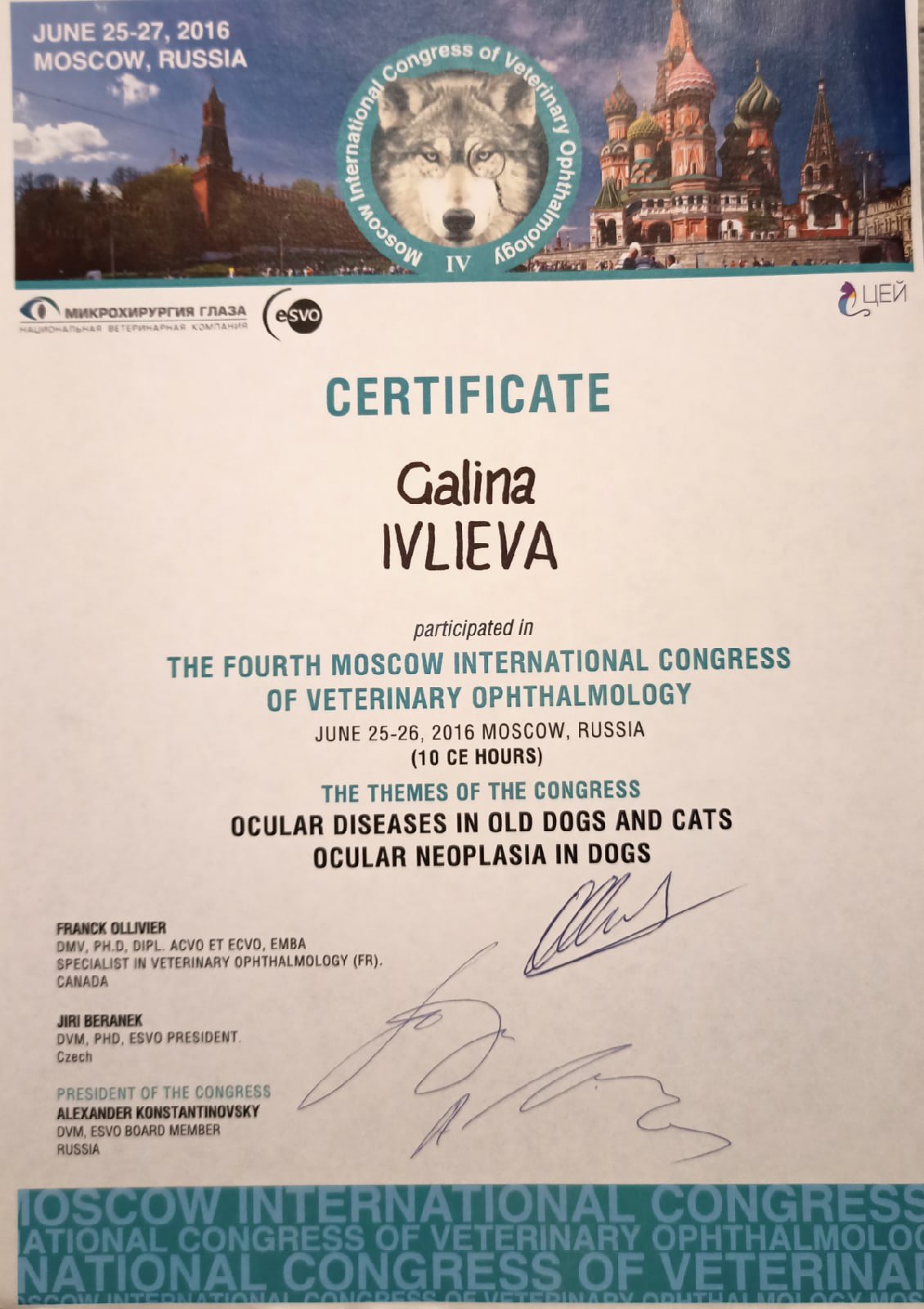 ivlieva-galina-igorevna-sertifikat-po-kongressu-ocular-diseases-in-old-dogs-and-cats-ocular-neoplasia-in-dogs Ивлиева Галина Игоревна