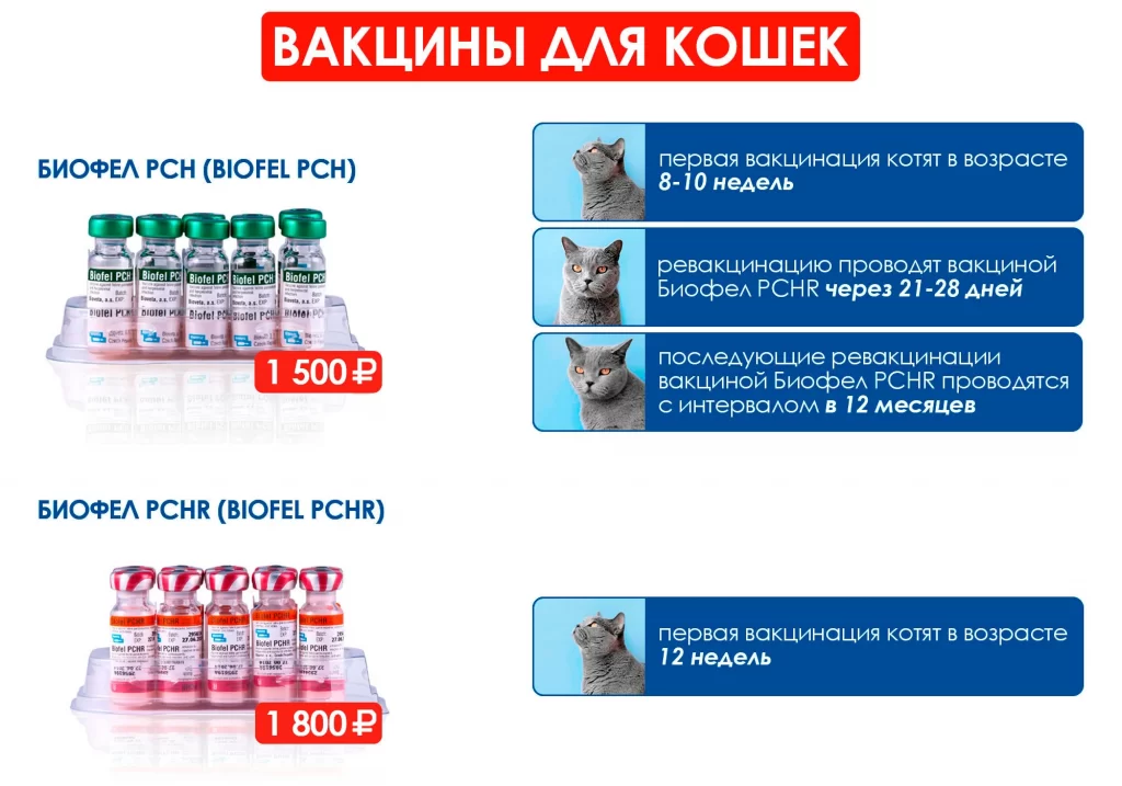 importnye-vakciny-dlya-koshki-1024x717 Импортные вакцины снова в наличии!