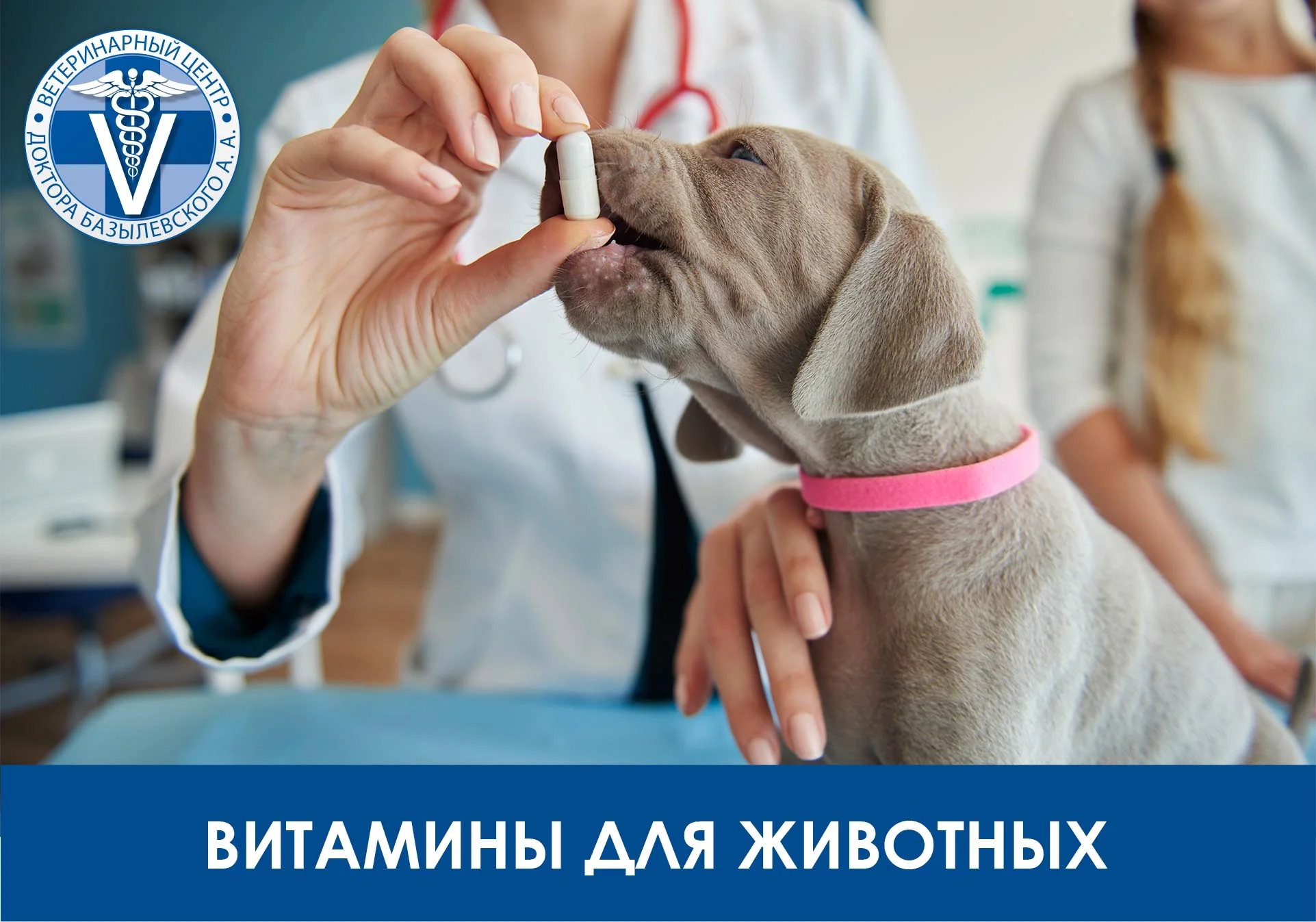 Витамины для животных