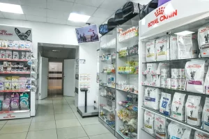 holl-veterinarnogo-centra-bazylevskogo-smolensk-300x200 О нас