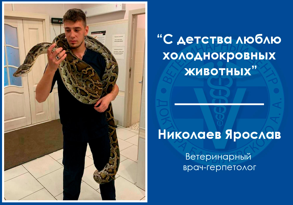 Интервью с ветеринарным герпетологом Николаевым Ярославом