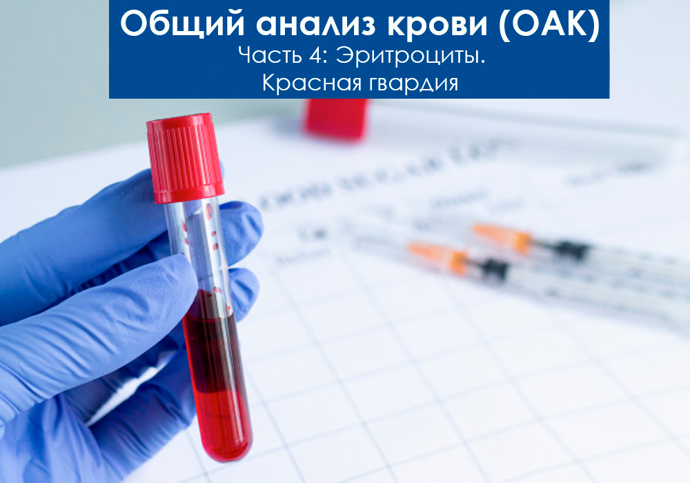 Общий анализ крови (ОАК). Эритроциты