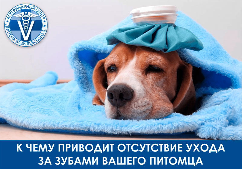 Регулярная гигиена полости рта