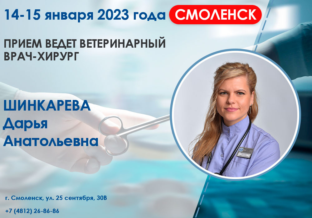 priem-vracha-hirurga Прием врача-хирурга в Смоленске!