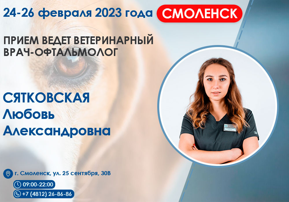 veterinarnyy-vrach-oftalmolog Прием ведет ветеринарный врач-офтальмолог!