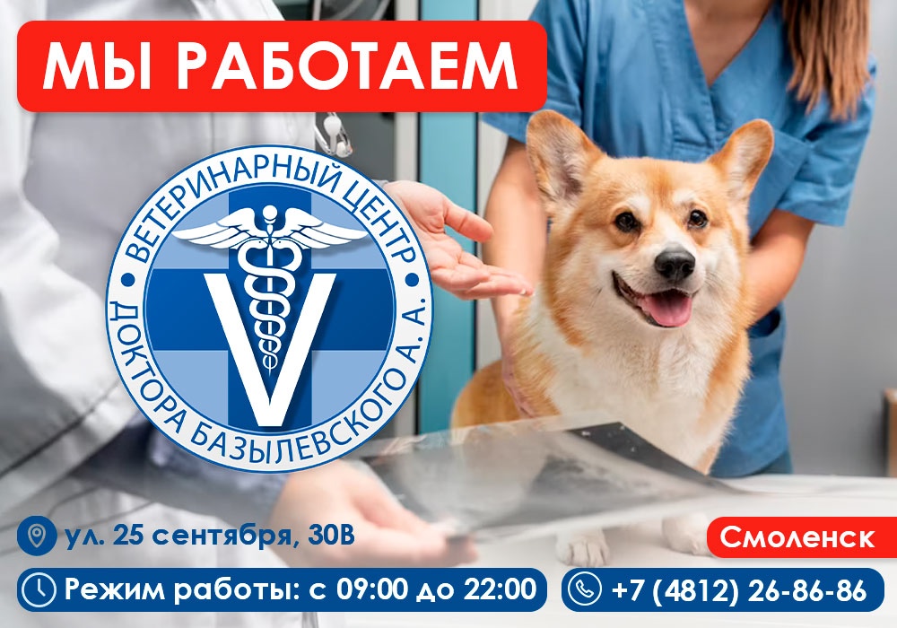 Возобновляем работу в прежнем режиме!