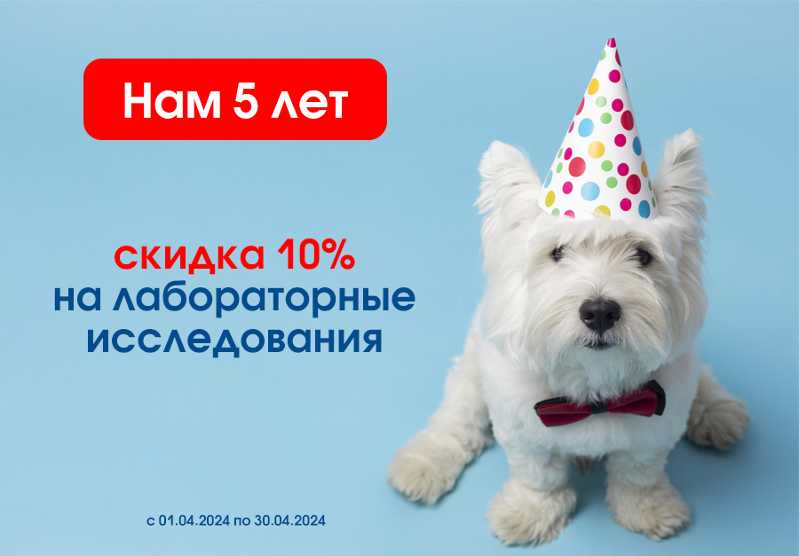 5-let Филиалу "Смоленск" пять лет!