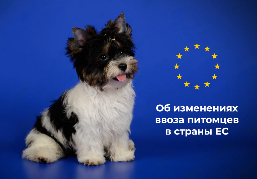 Изменения в возе питомцев