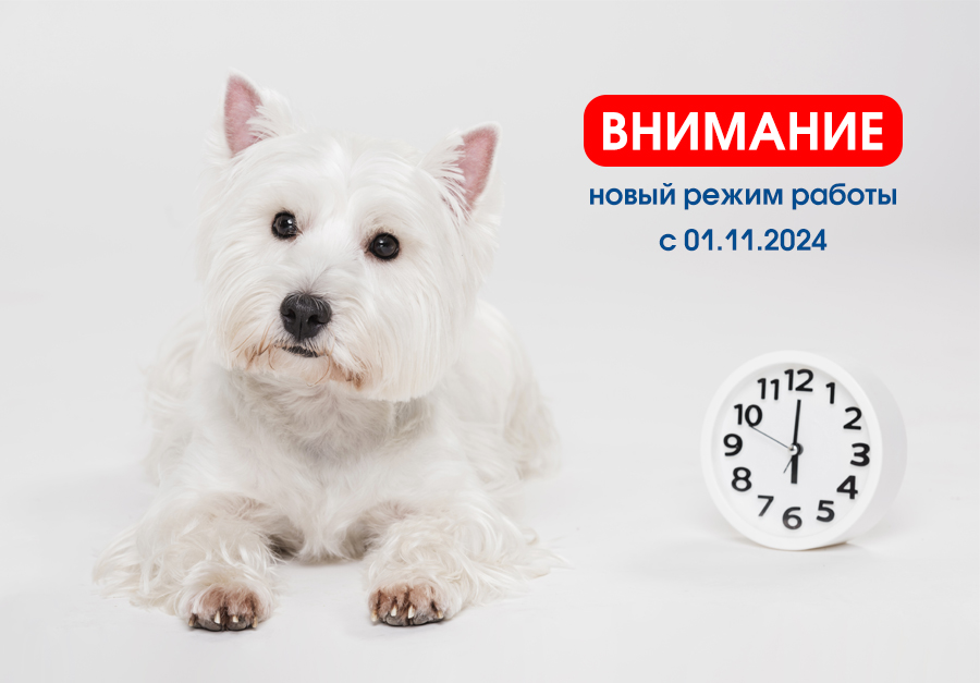 rezhim-raboty Изменения в режиме работы с 01.11.2024 года