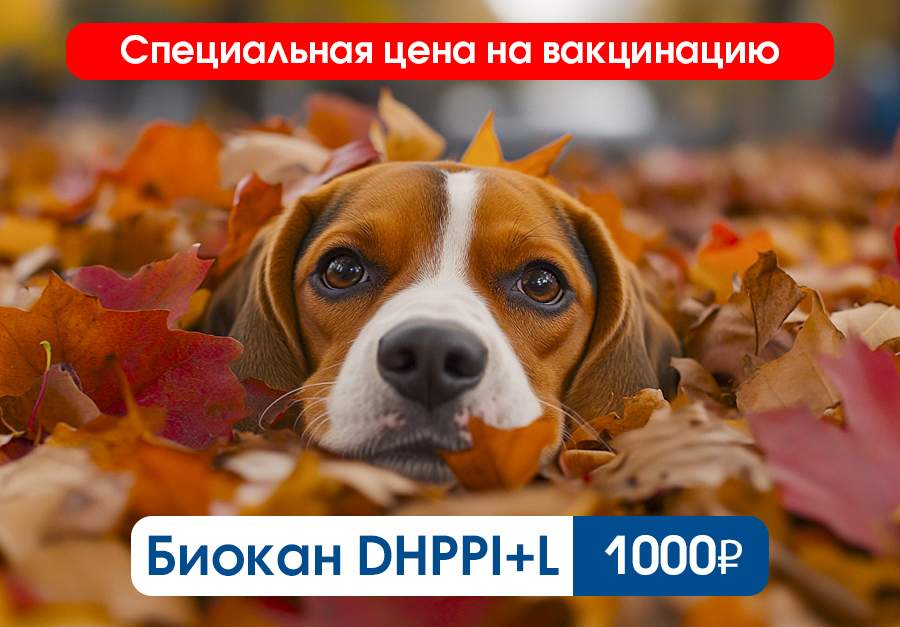 Акция Смоленск Биокан